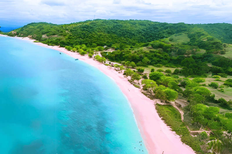 Patai Pink Lombok