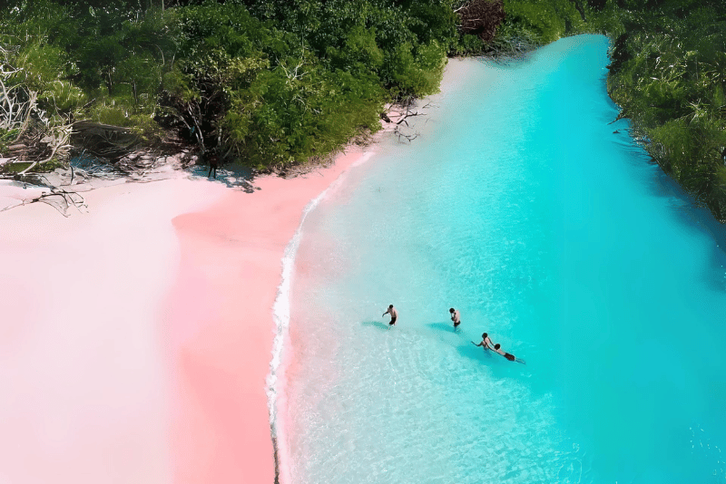 Patai Pink Lombok